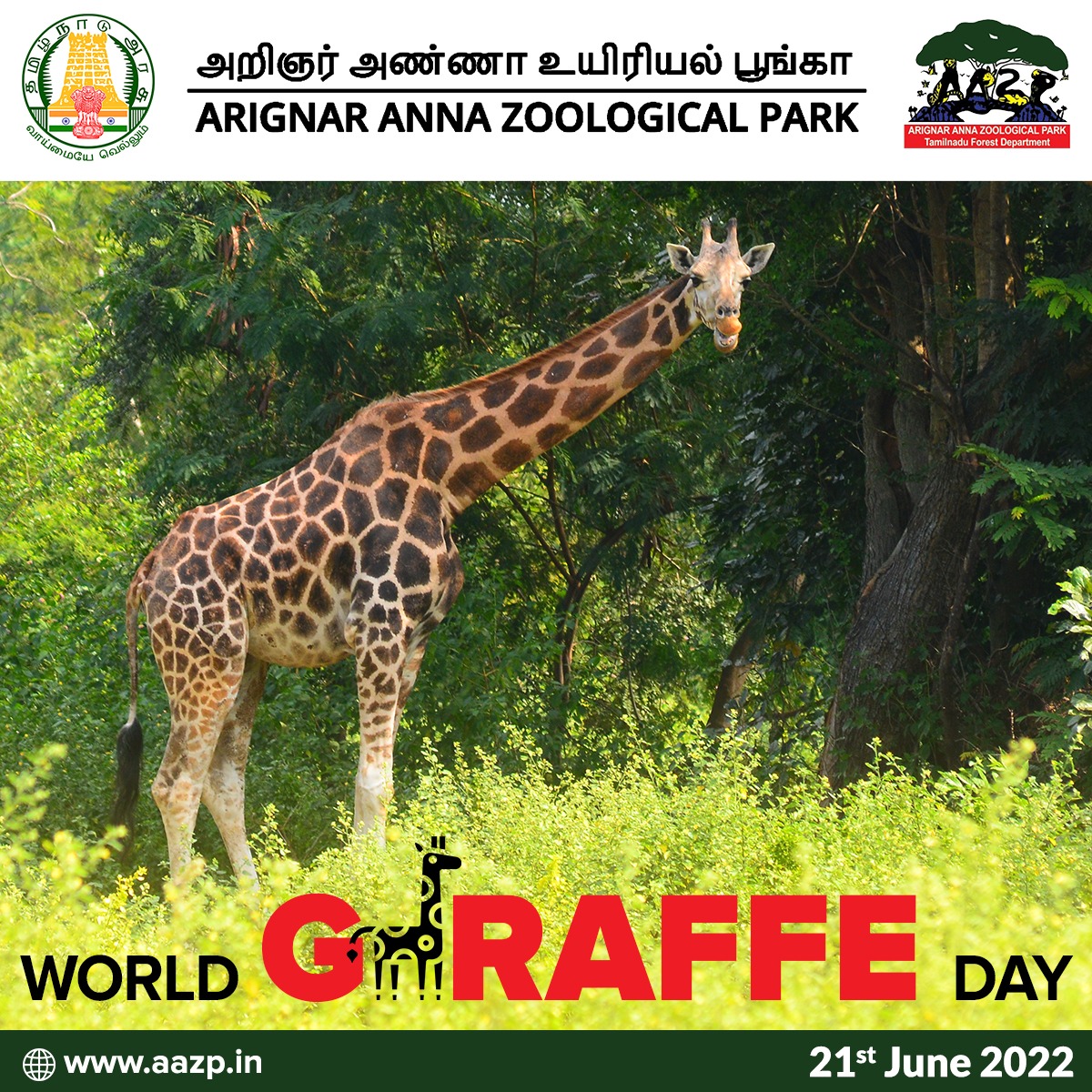 Arignar Anna Zoological Park - Vandalur Zoo - Chennai Tamil Nadu Arignar Anna Zoological Park - Vandalur Zoo - Chennai Tamil Nadu